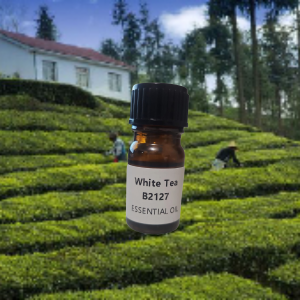 White Tea Essential Oil